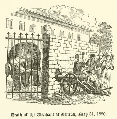 Elefantens død i Genève, 31. maj 1820 af English School