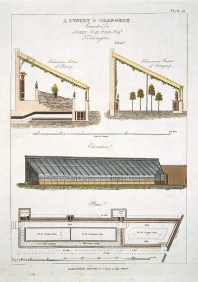 Design for et Pinery and Orangery i Teddington, 1806 af English School