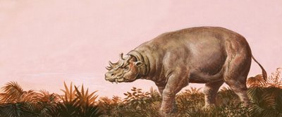Dinosaurus af English School