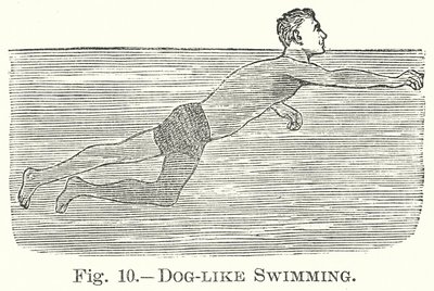 Hundartiges Schwimmen (Gravur) von English School