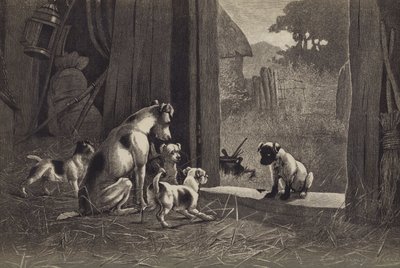 Hund (chromolitho) af English School