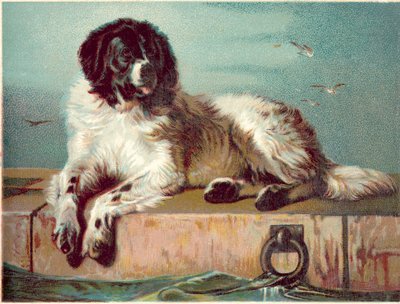 Hund sidder på kanten af havet (chromolitho) af English School