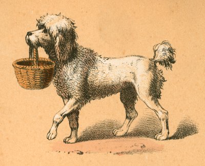 Hund med kurv af English School