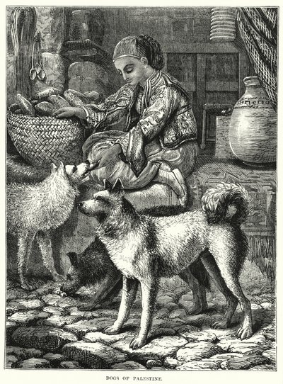 Hunde fra Palæstina (gravering) af English School