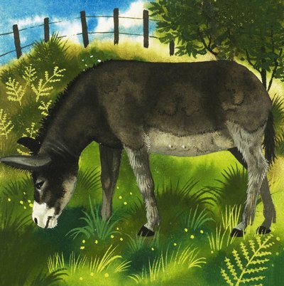 Æsel af English School