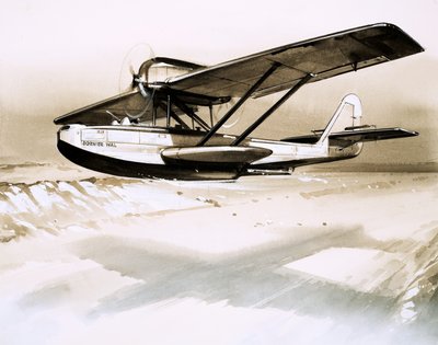 Dornier Wal, tomotoret tysk flyvebåd af English School