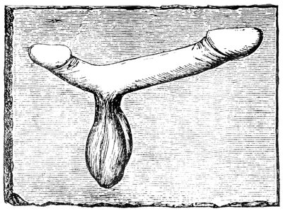 Dobbelt fallus fra overliggeren af et vomitorium (udgangspassage) ved Nimes (Colonia Nemausus) amfiteater af English School