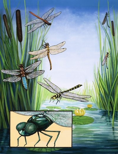 guldsmede af English School