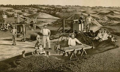 Tør sortering (litho) af English School