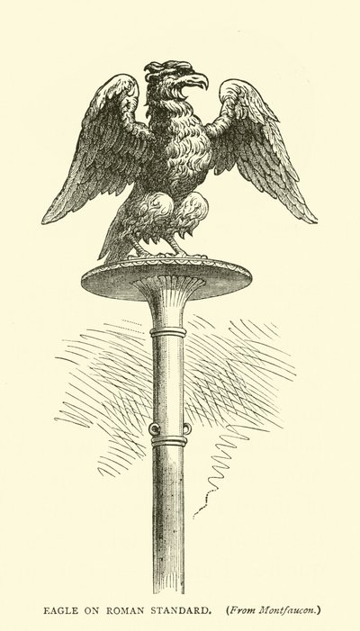Eagle på Roman Standard af English School