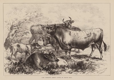 Jarl Rosslyns jerseykvæg på Easton Hall (gravering) af English School