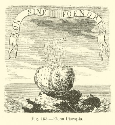 Elena Piscopia af English School