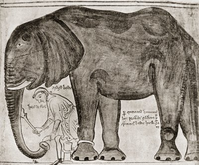Elefant sendt af St Louis til Henry III, fra 