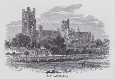 Ely Cathedral (gravering) af English School