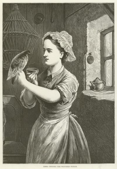 Emma tending the wounded pigeon  af English School
