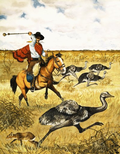 Emu-jagt af English School