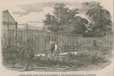 Ewings Patent Glass Wall, i haverne til Horticultural Society i Chiswick af English School