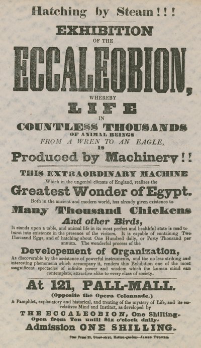 Udstilling af Eccaleobion af English School