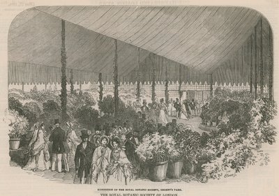 Udstilling af Royal Botanic Society af English School