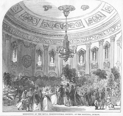 Udstilling af Royal Horticultural Society i Rotunda, Dublin, illustration fra "The Illustrated London News", 1854 af English School