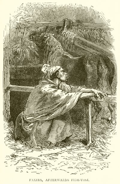 Faxiba, bagefter Fide-Yosi af English School