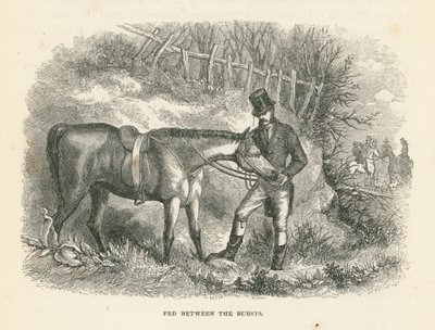 Gefüttert zwischen den Ausbrüchen (Gravur) von English School