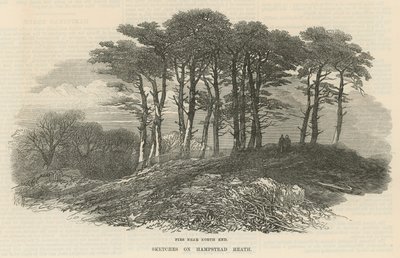 Graner nær den nordlige ende, Hampstead Heath af English School