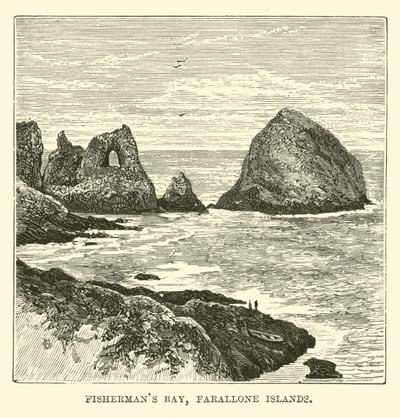 Fishermans Bay, Farallonøerne af English School