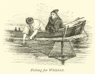Fishing for Whitebait  af English School