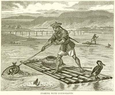 Fischen mit Kormoranen von English School