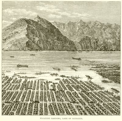 Flydende haver, Srinagar-søen af English School