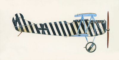 Fokker D VII von English School
