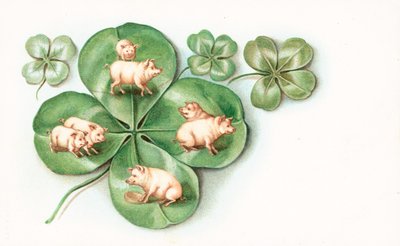 Firkløver med grise på hvert blad af English School