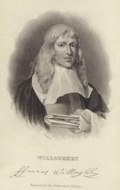 Francis Willughby af English School