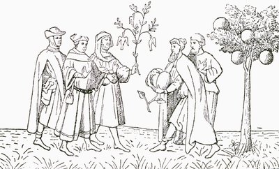 Broder Odoric af Pordenone, der holder en gren fra et træ, som fugle vokser på, vist på skift af den lokale konge, Lammetræet fra Tartary, der viser et lam, der dukker op, illustration fra The Strand Magaz af English School