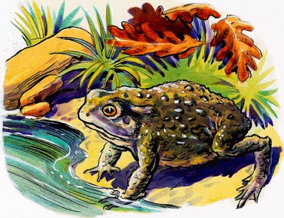 Frø af English School