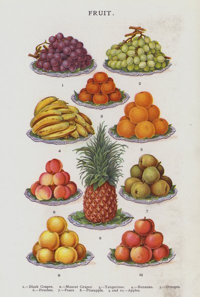 Frugt (kromolitho) af English School