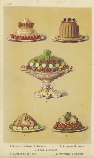 Obst- und Geflügelgerichte von English School