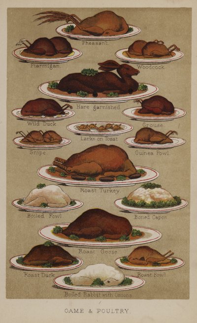 Vildt og fjerkræ af English School