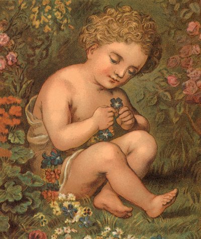 Haveblomster (farve litho) af English School