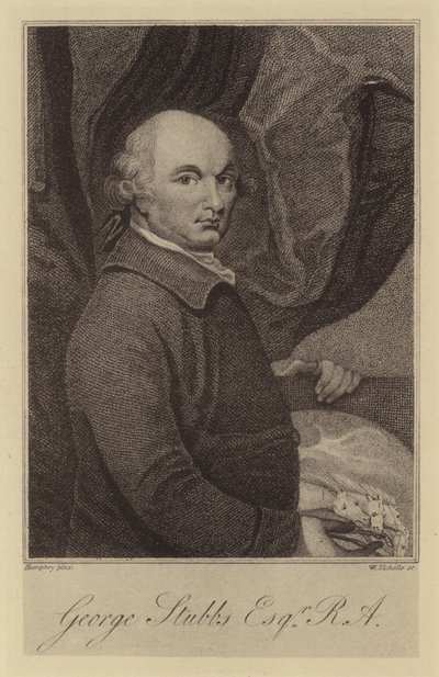 George Stubbs af English School