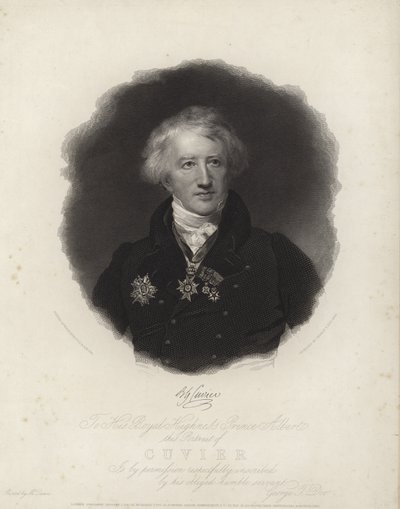 George Cuvier af English School