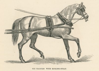 Gig Harness med Kicking-Strap (gravering) af English School