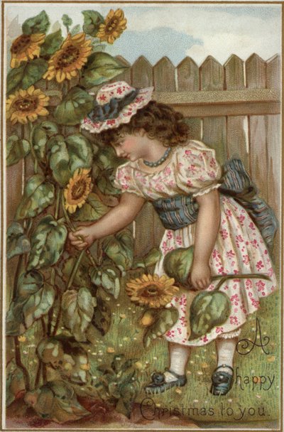 Girl picking sunflowers in a gardendani af English School