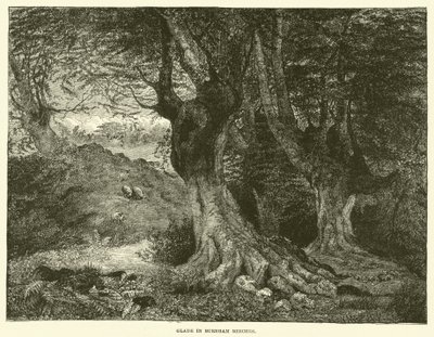 Glade i Burnham Beeches (gravering) af English School