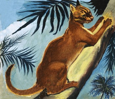 Gylden kat af English School