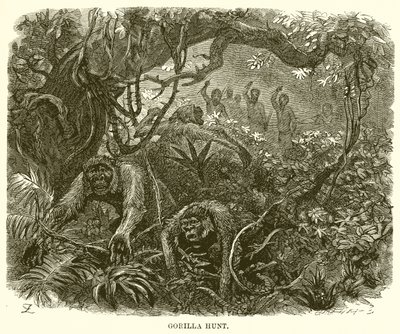 Gorillajagt af English School