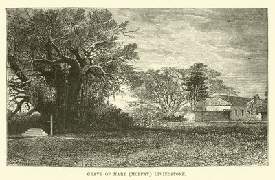 Grav af Mary (Moffat) Livingstone af English School