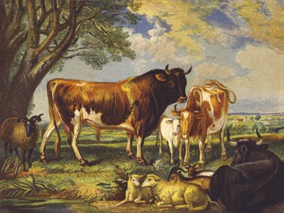 Great Cattle  af English School