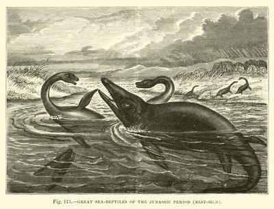 Great sea-reptiles of the Jurassic Period, restored  af English School